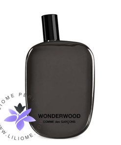 عطر ادکلن کومه دس گارسنز واندر وود-Comme des Garcons Wonderwood