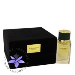 عطر ادکلن دلچه گابانا ولوت وتیور-Dolce Gabbana Velvet Vetiver