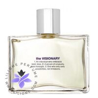 عطر ادکلن گپ ویژنری-Gap The Visionary