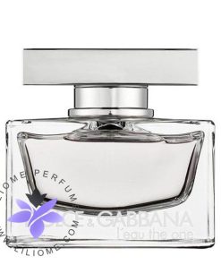 عطر ادکلن دلچه گابانا لئو دوان-Dolce Gabbana L`eau The One