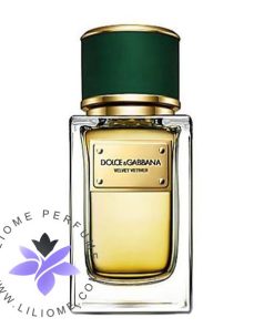 عطر ادکلن دلچه گابانا ولوت وتیور-Dolce Gabbana Velvet Vetiver