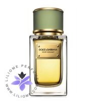 عطر ادکلن دی اند جی دلچه گابانا ولوت برگامت-Dolce Gabbana Velvet Bergamot