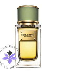 عطر ادکلن دی اند جی دلچه گابانا ولوت برگامت-Dolce Gabbana Velvet Bergamot