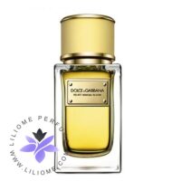 عطر ادکلن دلچه گابانا ولوت میموسا بلوم-Dolce Gabbana Velvet Mimosa Bloom