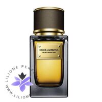 عطر ادکلن دی اند جی دلچه گابانا ولوت دیزرت عود-Dolce Gabbana Velvet Desert Oud