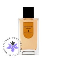 عطر ادکلن پیر کاردین کالکشن امبر سوپریم-Pierre Cardin Collection Ambre Supreme