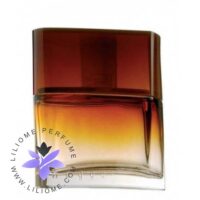 عطر ادکلن ایو روشه هوگار-Yves Rocher Hoggar