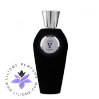 عطر ادکلن وی کانتو الیبی-V Canto Alibi