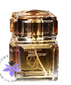 عطر ادکلن رامون مولویزار 4 المنتس-Ramon Molvizar 4elements