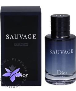 عطر ادکلن دیور ساواج-ساوج-ساواژ-Dior Sauvage 200 ml