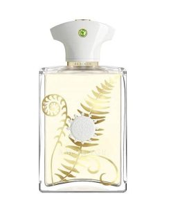 عطر ادکلن آمواج براکن مردانه Amouage Bracken Man