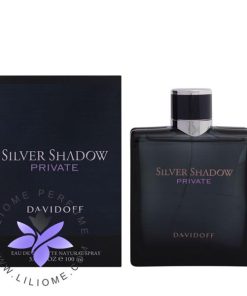 عطر ادکلن دیویدوف سیلور شادو پرایوت-Davidoff Silver Shadow Private