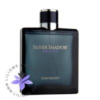 عطر ادکلن دیویدوف سیلور شادو پرایوت-Davidoff Silver Shadow Private