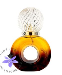 عطر ادکلن بیژن وی آی پی مردانه-Bijan VIP for men