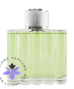 عطر ادکلن دیویدوف گود لایف مردانه-Davidoff Good Life