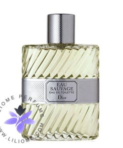 عطر ادکلن دیور او ساواج ادو تویلت-Dior Eau Sauvage