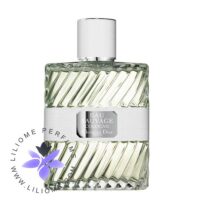 عطر ادکلن دیور او ساواج کلون-Dior Eau Sauvage Cologne