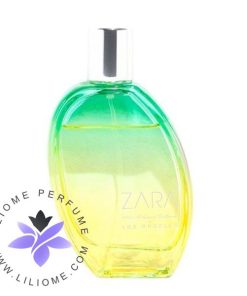 عطر ادکلن زارا 6902 هالیوود بلوارد لوس آنجلس-Zara 6902 Hollywood Boulevard Los Angeles