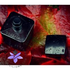 عطر ادکلن رژ بانی رژ ساینفین-Rouge Bunny Rouge Cynefin