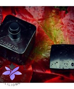 عطر ادکلن رژ بانی رژ ساینفین-Rouge Bunny Rouge Cynefin