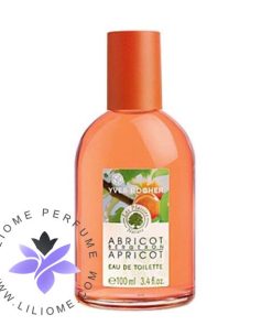 عطر ادکلن ایو روشه ابریکوت برگران-Yves Rocher Abricot Bergeron