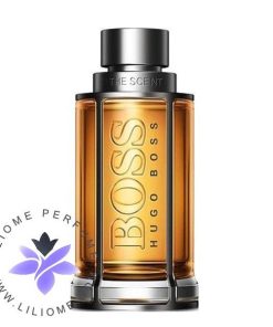 عطر ادکلن هوگو بوس د سنت مردانه | Hugo Boss The Scent