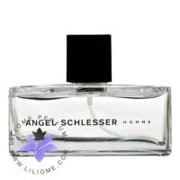 عطر ادکلن آنجل شلیسر مردانه-Angel Schlesser Homme