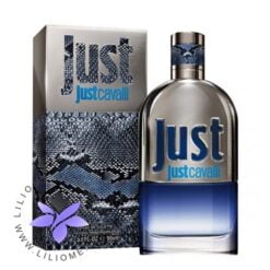 عطر ادکلن روبرتو کاوالی جاست کاوالی مردانه-Roberto Cavalli Just Cavalli Him