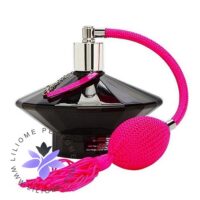 عطر ادکلن بریتنی اسپیرز این کنترل کوریوز-Britny Spears In Control Curious