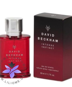 عطر ادکلن دیوید بکهام اینتنس اینستینکت-David Beckham Intense Instinct