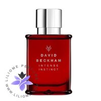 عطر ادکلن دیوید بکهام اینتنس اینستینکت-David Beckham Intense Instinct