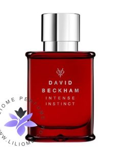 عطر ادکلن دیوید بکهام اینتنس اینستینکت-David Beckham Intense Instinct
