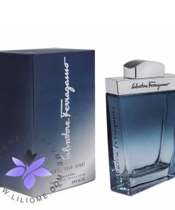 عطر ادکلن سالواتوره فراگامو سابتیل پور هوم-Salvatore Ferragamo Subtil Pour Homme