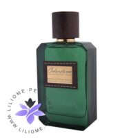 عطر ادکلن پانوژ سدر استورم-Panouge Cedarstorm