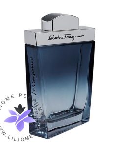 عطر ادکلن سالواتوره فراگامو سابتیل پور هوم-Salvatore Ferragamo Subtil Pour Homme
