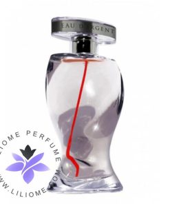 عطر ادکلن مونتانا او د آرجنت-Montana Eau d'Argent