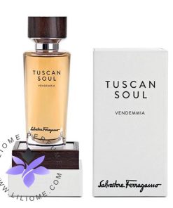 عطر ادکلن سالواتوره فراگامو وندمیا-Salvatore Ferragamo Vendemmia