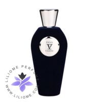 عطر ادکلن وی کانتو انسیس-V Canto Ensis