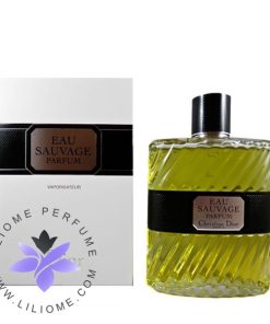 عطر ادکلن دیور او ساواج پرفیوم 2017-Dior Eau Sauvage Parfum 2017