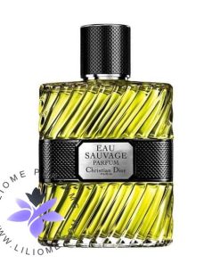 عطر ادکلن دیور او ساواج پرفیوم 2017-Dior Eau Sauvage Parfum 2017