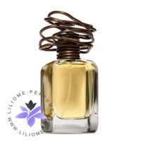 عطر ادکلن مندیتوروزا آرکتیپو-Mendittorosa Archetipo