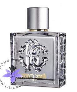 عطر ادکلن روبرتو کاوالی یومو سیلور اسنس-Roberto Cavalli Uomo Silver Essence