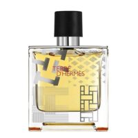 عطر ادکلن هرمس تق هرمس فلاکون اچ 2016 پرفیوم Hermes Terre d`Hermes Flacon H 2016 Parfum