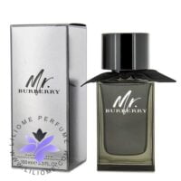 عطر ادکلن باربری مستر باربری ادو پرفیوم-Burberry Mr. Burberry Eau de Parfum