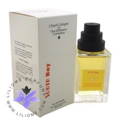 عطر ادکلن دیفرنت کمپانی سوث بی-The Different Company South Bay