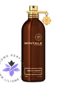 عطر ادکلن مونتاله عود فورست-Montale Aoud Forest