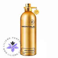 عطر ادکلن مونتاله عود دماسکاس-Montale Aoud Damascus