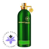 عطر ادکلن مونتاله عود سمرقند-Montale Aoud Samarkand