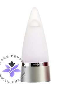 عطر ادکلن روشاس مردانه-Rochas Man