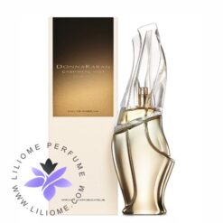 عطر ادکلن دی کی ان وای کشمر میست اسنس-DKNY Cashmere Mist Essence